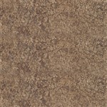 Textured Bronze